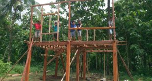 Indonesia Free Volunteering - Gardening & Nature Building