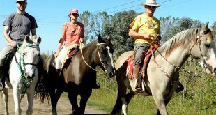 Horse Riding Volunteering in Argentina, South America