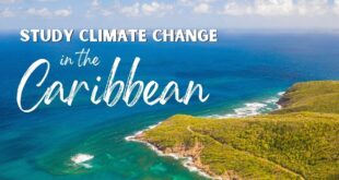 Caribbean Climate Activism Course
