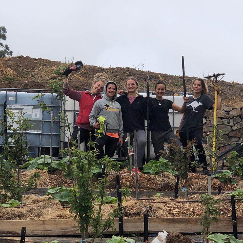 Volunteer on our Permaculture Project in Tasmania (Australia)