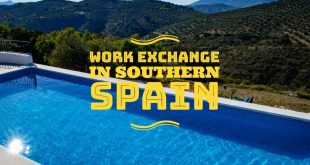 Work exchange in Spain