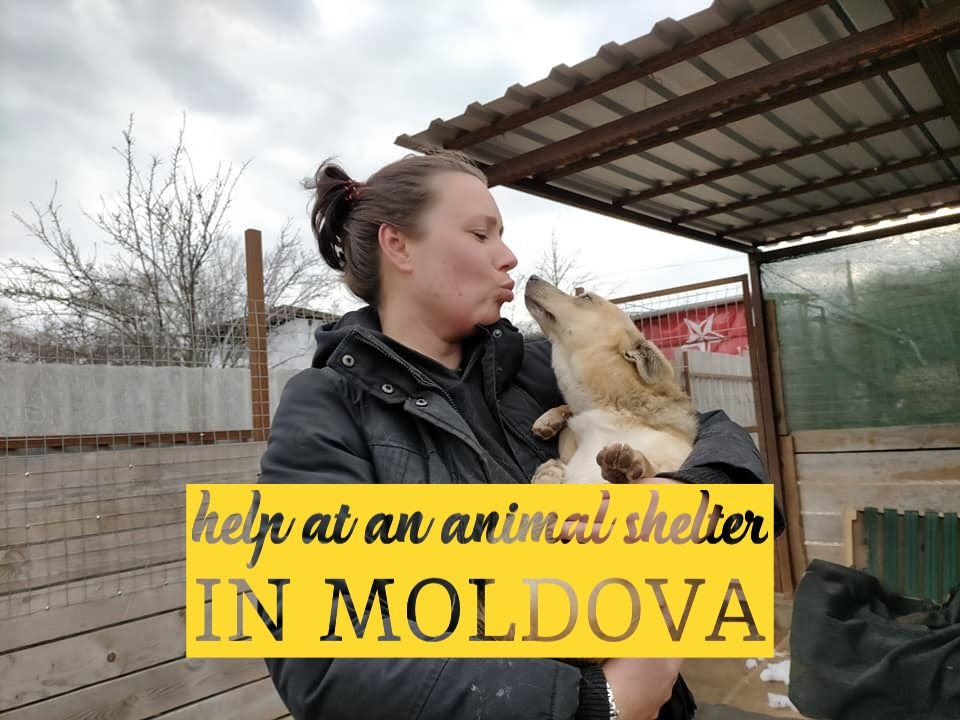 volunteer in moldova