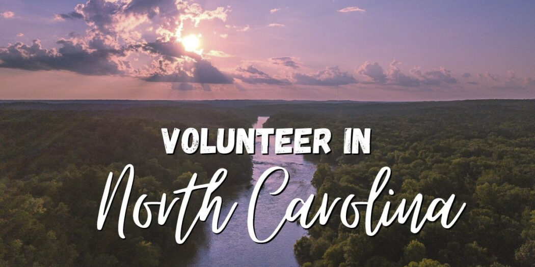 Volunteer on a farm in North Carolina, USA and learn to live sustainably!