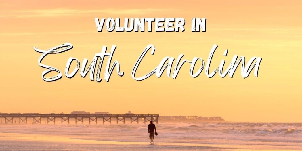 Volunteer in South Carolina, USA and help an American family.
