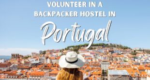volunteer in Portugal