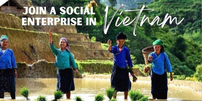 Volunteer in Vietnam for FREE | Exchange Your Skills For Accommodation
