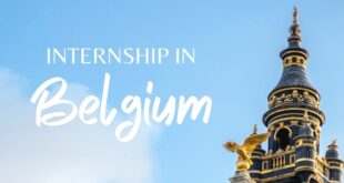internship in antwerp belgium