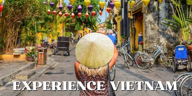volunteer in a homestay in vietnam