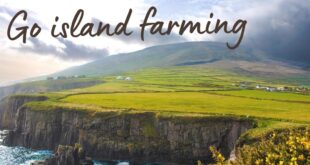 farming volunteering ireland