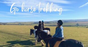 horse trekking volunteering england