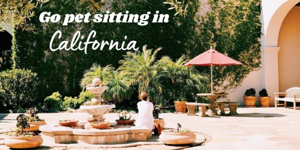 House Sitting Opportunities In Los Angeles