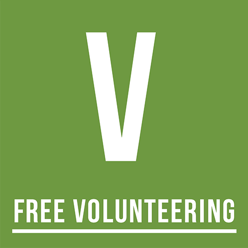 Free Volunteering Abroad logo
