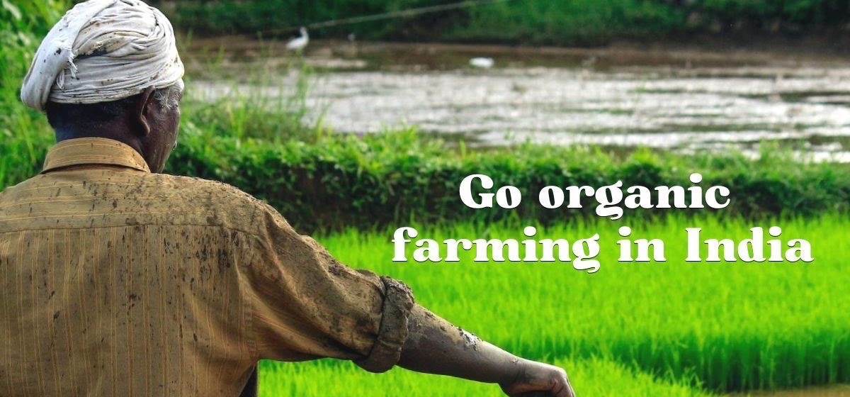 help-on-an-organic-farm-while-volunteering-in-south-india