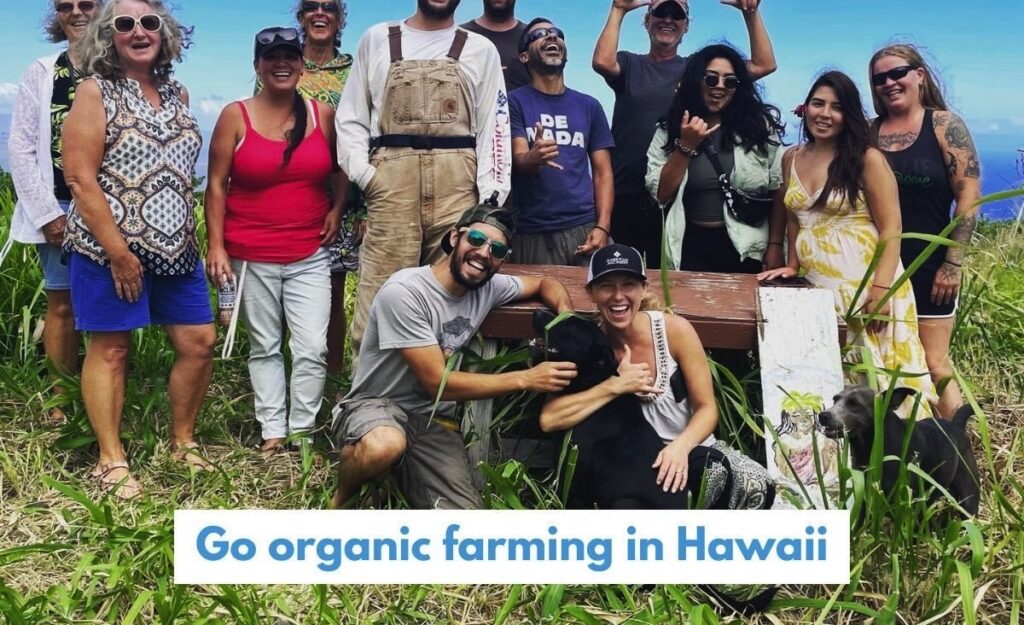 Volunteer on an organic farm in Hawaii