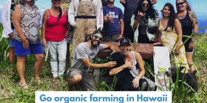 Volunteer on an organic farm in Hawaii