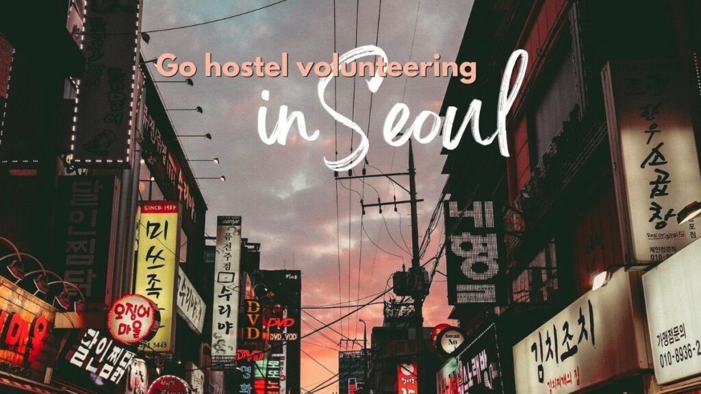 volunteer in south korea