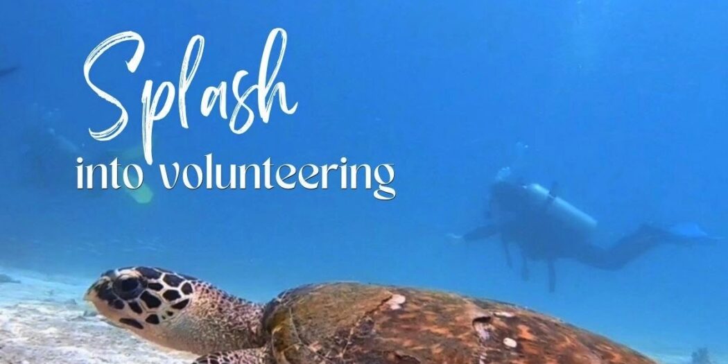 Diving volunteer work in Malaysia