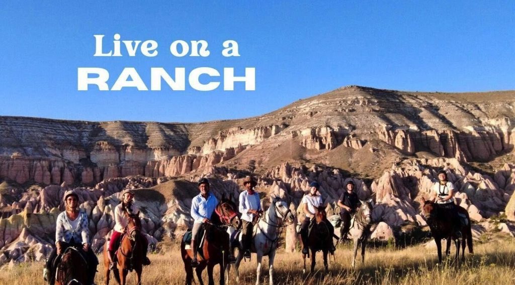 volunteer on a ranch