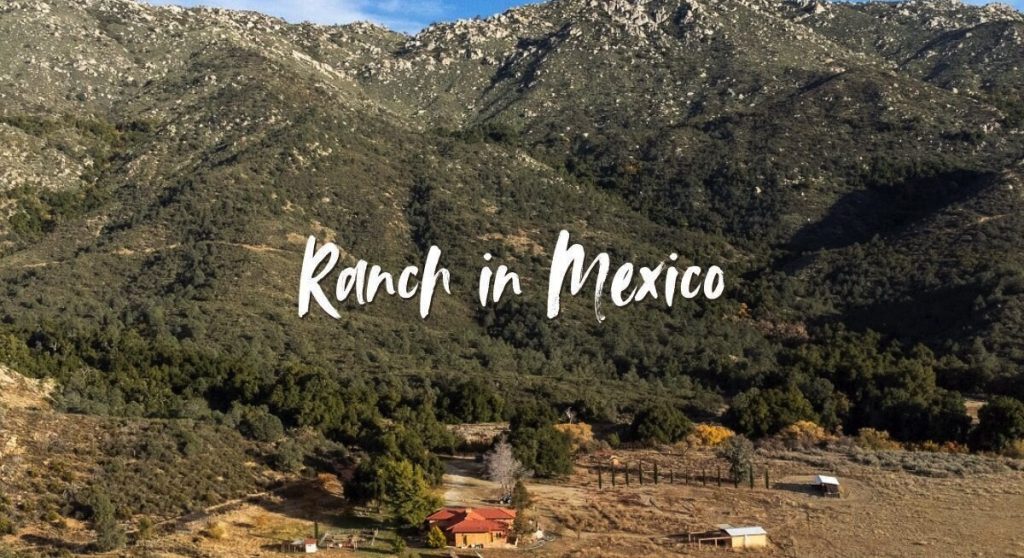 volunteer on a ranch