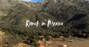 volunteer on a ranch