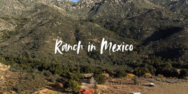 volunteer on a ranch