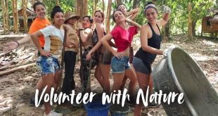 Volunteer work in Thailand