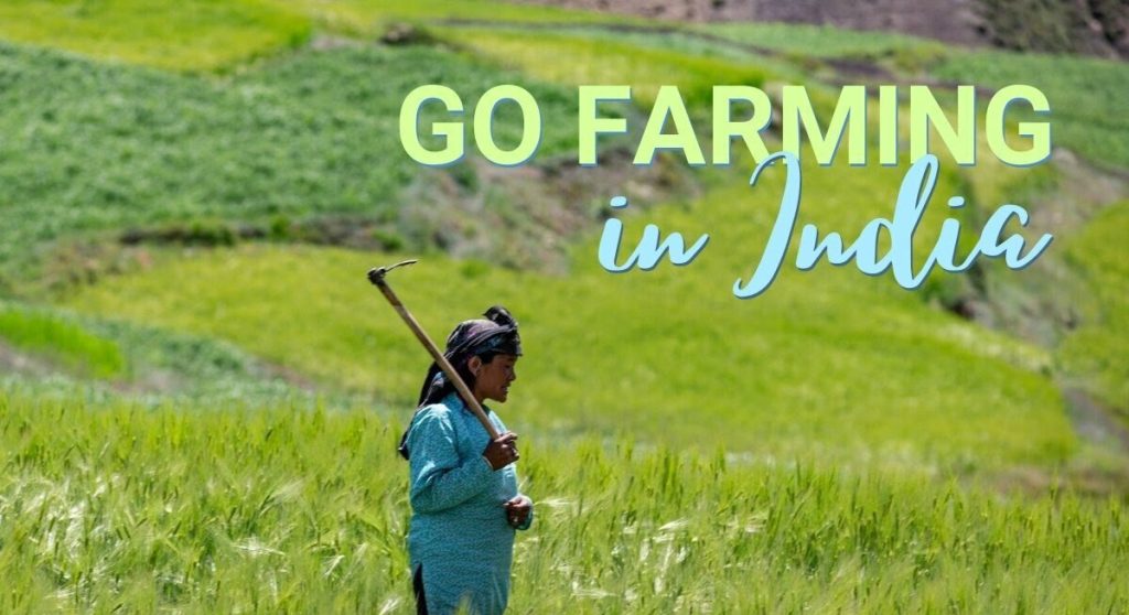 organic farming in india