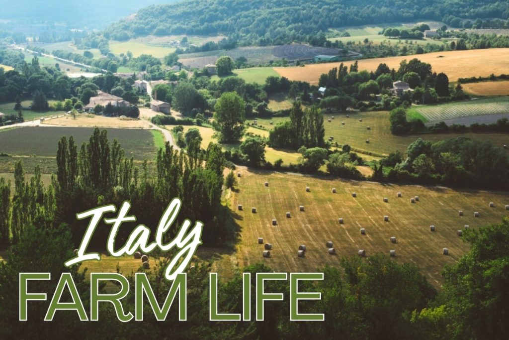 Volunteer on a Sustainable Farm in Italy - Eco-Friendly Living