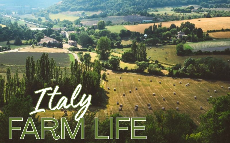Volunteer on a Sustainable Farm in Italy - Eco-Friendly Living