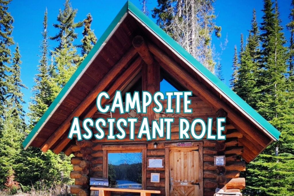 Campsite Care Assistant at Scenic Mountain Eco Lodge