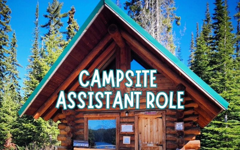 Campsite Care Assistant at Scenic Mountain Eco Lodge