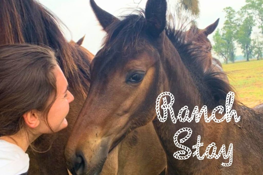 Working Holiday on a Ranch in Argentina: Polo & Horse Care Role