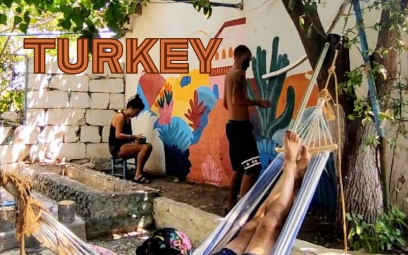 Volunteer on a Farm in Turkey – Authentic Rural Experience
