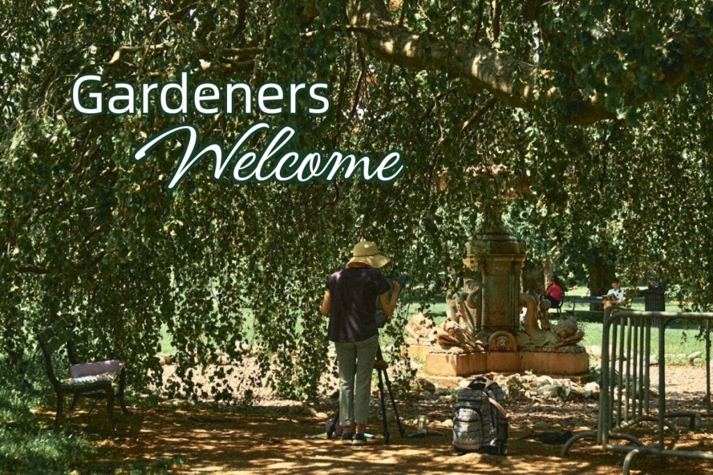 Volunteer in Nova Scotia at a Sustainable Forest Garden