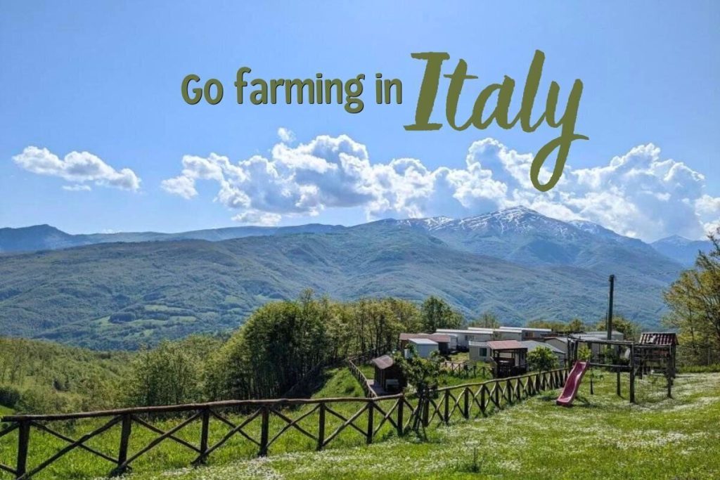 Volunteer on a Farm in Sicily | Authentic Rural Experience in Messina
