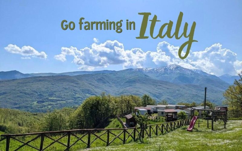 Volunteer on a Farm in Sicily | Authentic Rural Experience in Messina