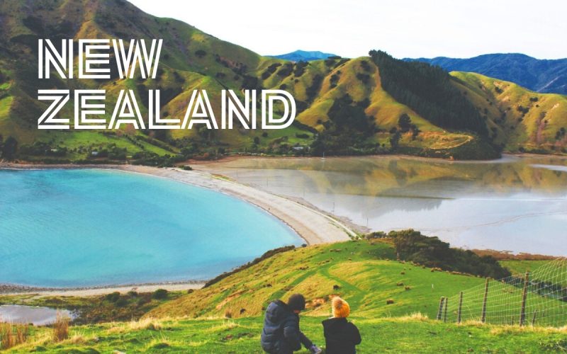 Volunteer Exchange in New Zealand: Gardening near Rotorua