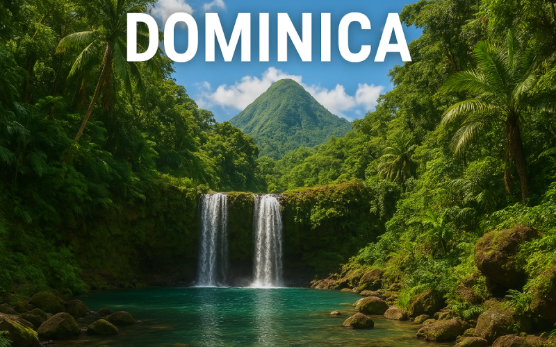 Volunteer in Dominica: Help on a Jungle Farm