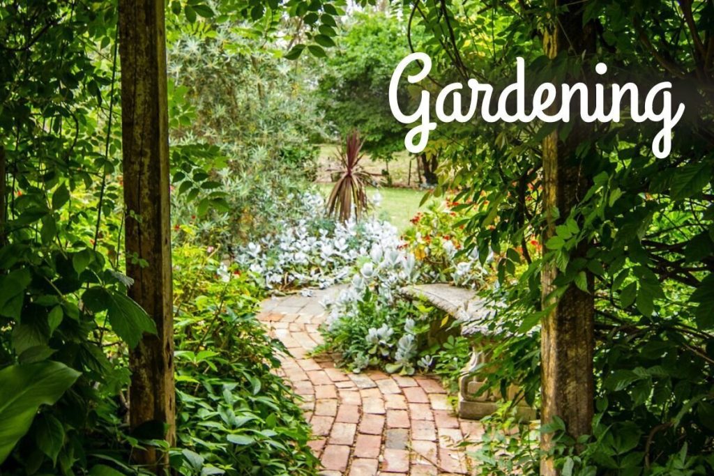 Perth Homestay with Painting and Gardening