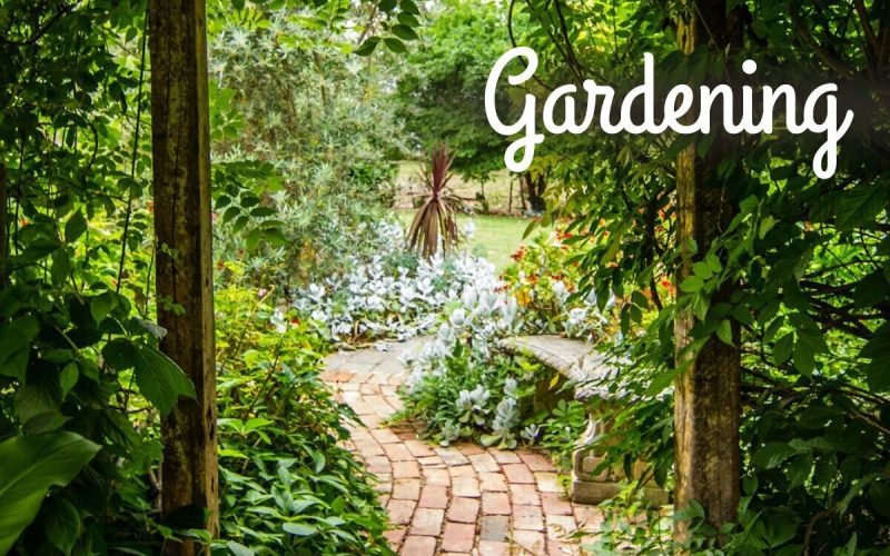Perth Homestay with Painting and Gardening