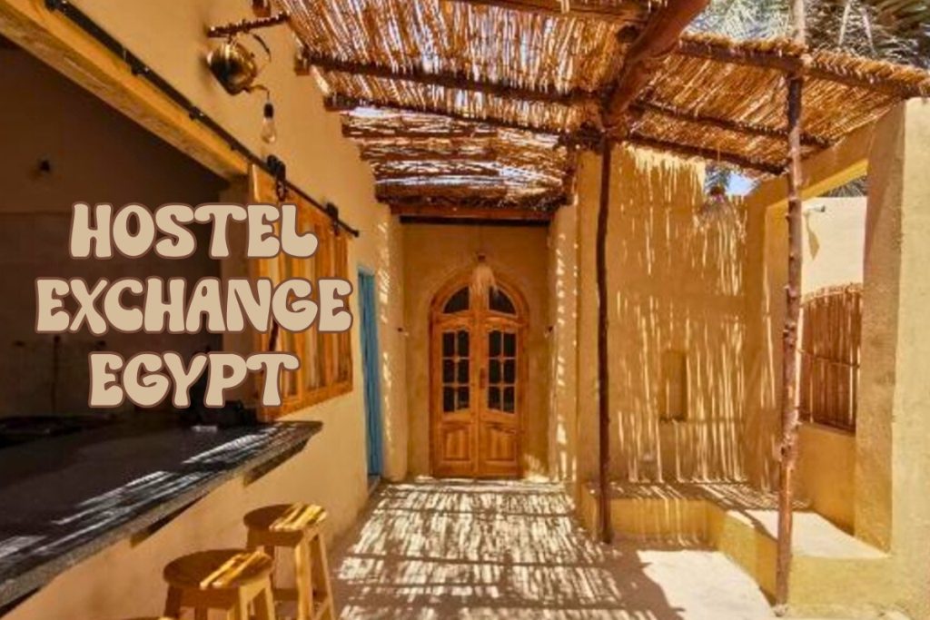 Volunteer in Siwa Egypt at Siwa Oracle Hostel Oasis
