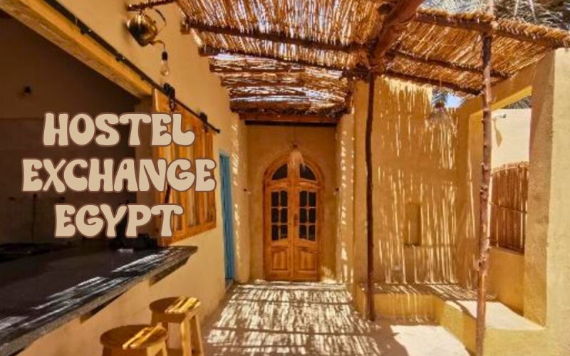 Volunteer in Siwa Egypt at Siwa Oracle Hostel Oasis