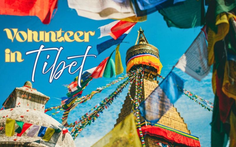 Volunteer in Tibet: Teach English & Live in the Himalaya