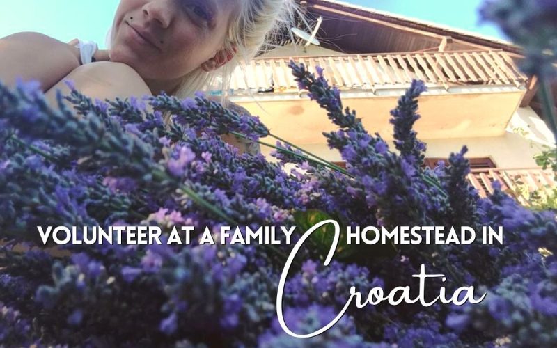 Farm Volunteering in Croatia | Permaculture & Natural Building