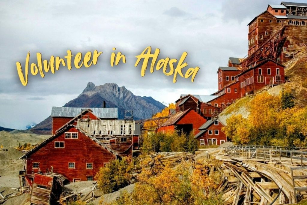 Volunteer in Alaska at a Downtown Seward Hostel