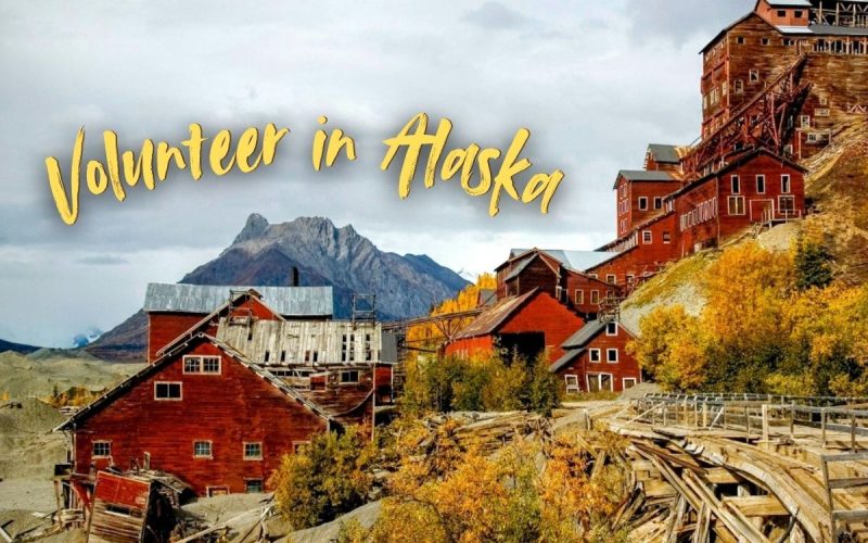 Volunteer in Alaska at a Downtown Seward Hostel