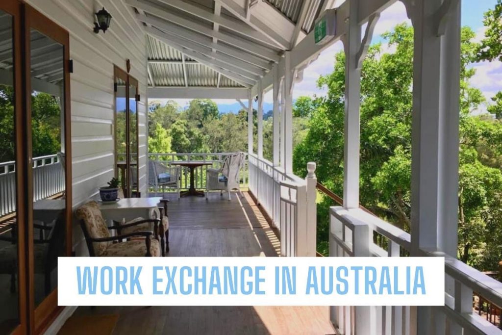 Volunteer on a Farm in Queensland – Hands-On Experience