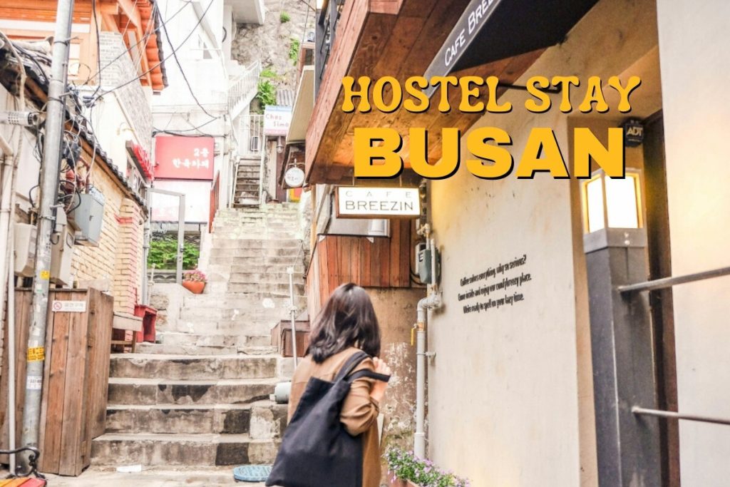 Work exchange hostel in Haeundae Beach | Stay & Work Busan