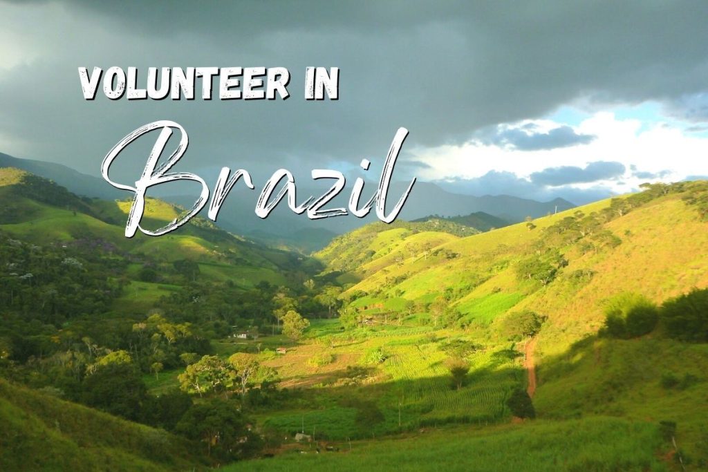 Organic farming volunteer programme in Brazil