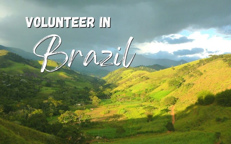 Organic farming volunteer programme in Brazil